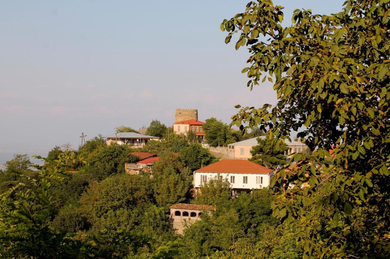 Maya Guest House Sighnaghi Luaran gambar